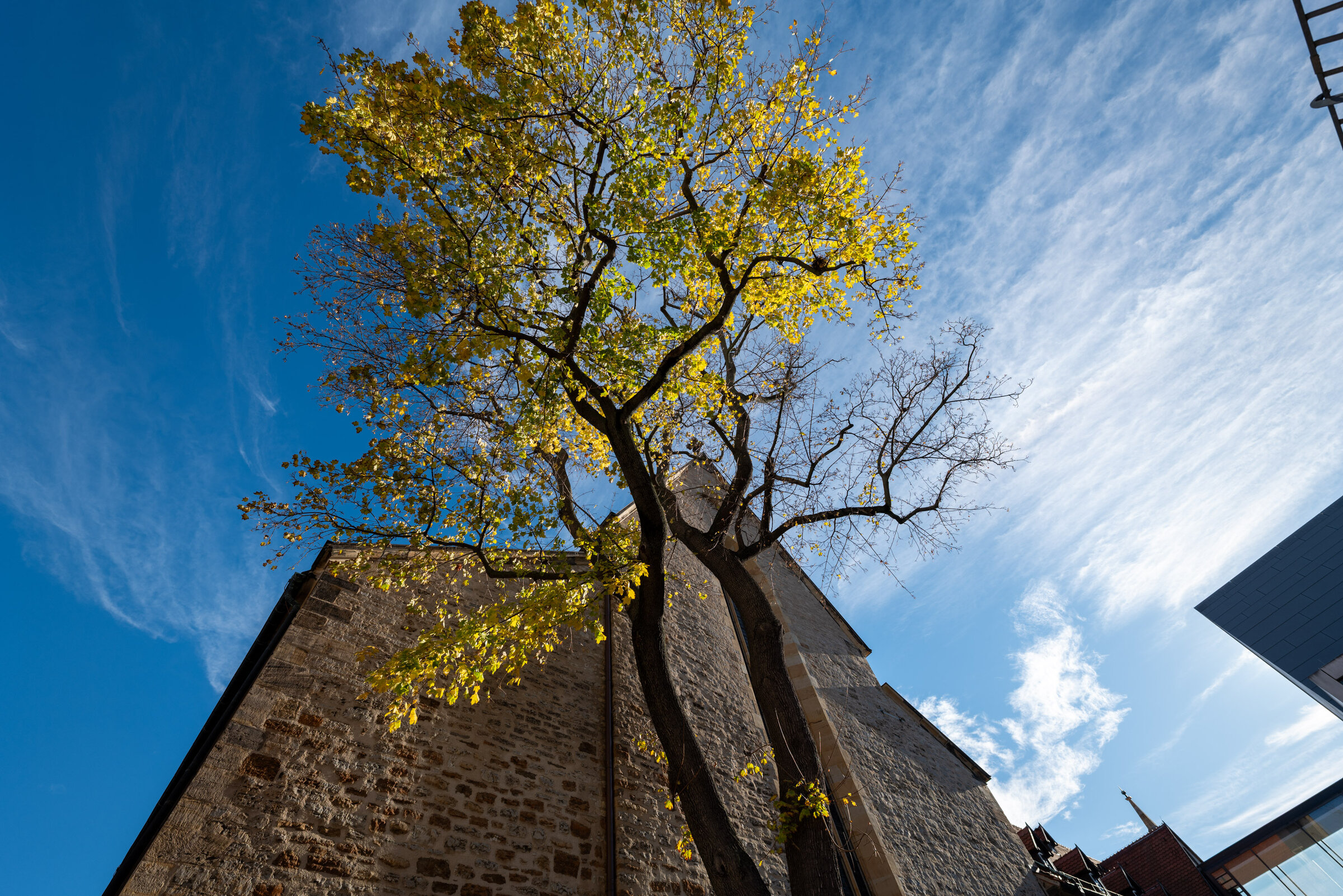 
        Ausbildung 1948 - 1993
    